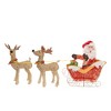 Novelty Lights LED Pre-Lit Yard Art Christmas Decoration - 3 of 4