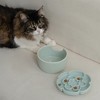 Dexypaws: Flower Elevated Slow Feeder - Sage Green - Silicone Cat Dish - 2 of 4