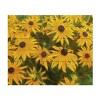 Trademark Fine Art Leslie Montgomery Every Flower Is A Soul Wood Slat Art - 3 of 4