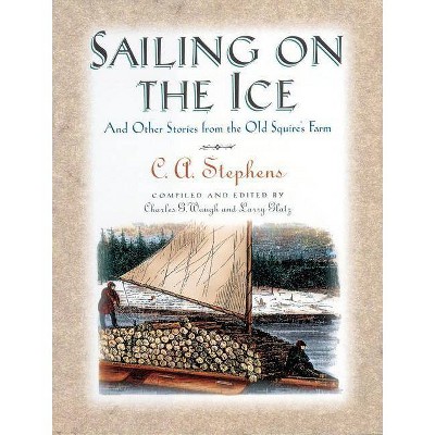 Sailing on the Ice - by  C Stephens (Paperback)