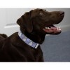 Country Brook Petz HossFit Jr Wide Martingale Dog Collar - Christmas Collection - 3 of 4