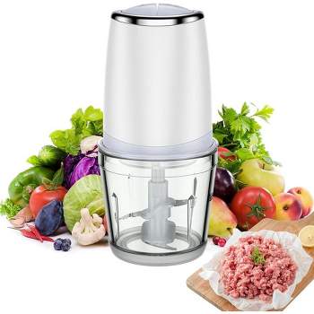 300W Mini Food Processor Electric Food Chopper 2 Speed with 2.5 Cup Glass Bowl