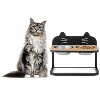 Chery Life 2 Pet Bowls with Stainless SteelElevated Stand, for Cats and Small and Medium Dogs - 2 of 4