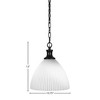 Toltec Lighting Carina 1 - Light Pendant in  Matte Black with 10.75" Opal Frosted Shade - 2 of 2