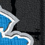 detroit lions