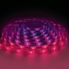 Monster 10m Smart RGBW LED Light Strip Sound Reactive Indoor: USB Powered, Multicolor, 240 LEDs, 4 Settings, PVC Material - 4 of 4