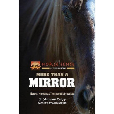 More Than a Mirror - by  Shannon C Knapp (Paperback)
