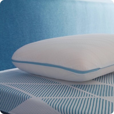 Sealy Dreamlife Standard White Memory Foam Pillow Set