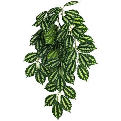 Multipet Komodo Two-Toned Leaf Hanging Plant, Sm