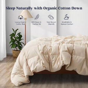 Puredown All Season 100% Organic Cotton Down Duvet Insert Medium Warmth Comforter - 1 of 4