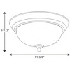 Progress Lighting Melon 1-Light Flush Mount, Brushed Nickel, Alabaster Glass Shade - 2 of 2