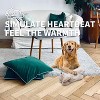 Allforpaws Little Buddy - Puppy Soothing Heartbeat Warm Bear Comfort Dog Sleep Aid Plush Toy - 4 of 4