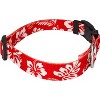 Country Brook Petz Deluxe Dog Collar - Summer Breeze Collection - Made in The U.S.A. - 3 of 4