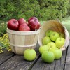 Cornucopia Brands Round Wood Baskets; Wooden Fruit Buckets w/ Handle for Farmers Market, Easter, Hostess Gift - 3 of 4