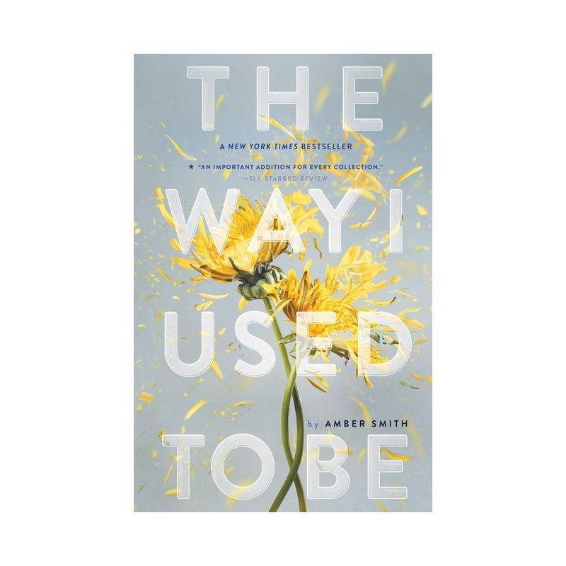 Way I Used to Be (Reprint) (Paperback) (Amber Smith), 1 of 4