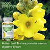 Mulittea Mullein Leaf Capsules Herbal Supplement Supports Respiratory Function Health,120 Count - 3 of 4