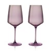 Viski Reserve Nouveau Wine Glasses Set of 2 - 4 of 4