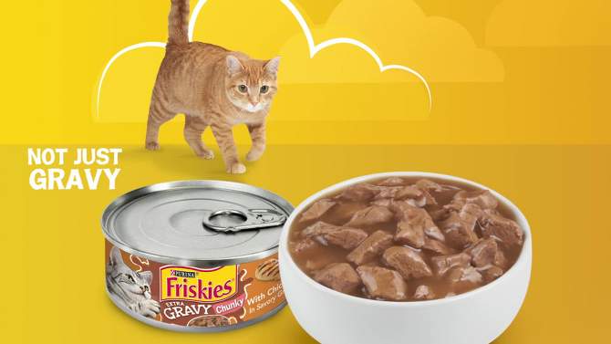 Purina Friskies Extra Gravy Chunky Chicken, Turkey, Salmon &#38; Beef Wet Cat Food - 5.5oz/24ct Variety Pack, 2 of 7, play video