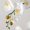 Sullivans Artificial 24.5" Potted Orchid - 2 of 4