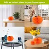 Briarwood Lane Fall Multipack S-M-L Orange Pumpkin Honeycomb Paper Decor (3-pack) 9.5x9.5 Bundle Party Centerpiece Decoration - 3 of 4