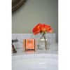 Plantlife Vanilla Orange Bar Soap – Moisturizing, Soothing, Handcrafted, Plant-Based – Made in California, 4oz - 3 of 3