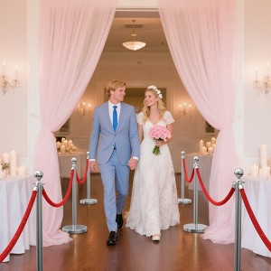 TinyHomie Stainless Steel Posts with Velvet Ropes for Events, Hotels, and Theaters - 1 of 4