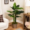 Northlight Potted Wide Taro Leaf Artificial Greenery Floor Plant - 47" - 2 of 4