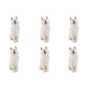 6 Pack Plain Polyester Dog Bandanas Quick Drying and Easy to Wear - 1 of 4