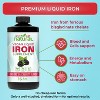 Why Not Natural Liquid Iron Supplement for Adults & Kids – Vegan, Non-GMO, Sugar-Free Formula for Anemia, with Organic Blackberry Flavor, 16 fl oz - 2 of 4