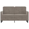 vidaXL Light Gray Sofa - 2-Seater - Comfortable Velvet Fabric Upholstery - Robust Plywood and Metal Frame - Modern and Chic - 3 of 4