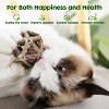 Potaroma Catnip Toys, 3Pcs Cat Toys Natural Silvervine Stick Cage Balls - 3 of 3