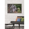 Trends International The Comedy Wildlife Photography Awards: John Blumenkamp - Monday Blahs Framed Wall Poster Prints - 2 of 4