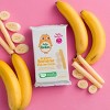 Little Bellies Organic Banana Pick-Me Sticks Baby Snacks - 0.56oz - image 3 of 3