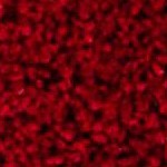 red/ivory