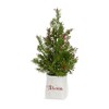 Frosted Christmas Mini Pine Trees in Pots – Set of 2 by Melrose - 3 of 3