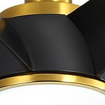 gold and black