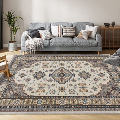 Modern Washable Area Rug for Living Room, Soft Floor Rug with Non Slip Backing, Low Pile Stain Resistant Indoor Carpet for Home Office