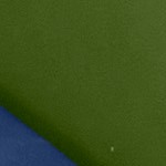 earthtone