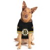 NHL Boston Bruins David Pastrnak Pets Jersey - XL - 4 of 4