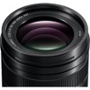 Panasonic Leica DG Vario-Elmarit 50-200mm f/2.8-4 ASPH. POWER O.I.S. Lens - 3 of 4