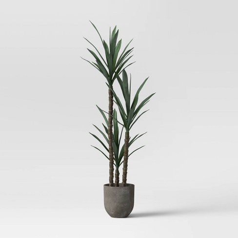 conversie Rechtmatig invoer Faux Dracaena Plant Gray/green - Project 62™ : Target