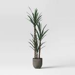 Faux Dracaena Plant Gray/Green - Project 62™