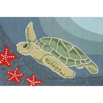 sea turtle ocean