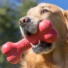 KONG Goodie Bone Dog Toy - 3 of 3