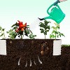 Raised Garden Bed Trellis Raised Bed Kit – 95Ft”Planter Raised Garden Boxes Outdoor,Drainage Design for Vegetables, Rust-Proof and Vines - 2 of 4