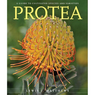 Protea - by  Lewis J Matthews (Paperback)