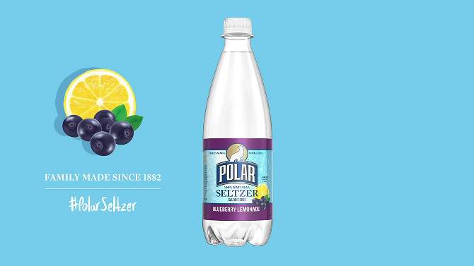 Polar Seltzer Lemon - 20 fl oz, 2 of 5, play video