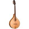 Gold Tone OM-800+ Octave Mandolin Natural - 3 of 4