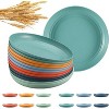LunaLulinlk 10 Inch Wheat Straw Plates, 12 Pcs Unbreakable Dinner Set of 6 Colors, Lightweight - 4 of 4