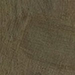 montalcino elm
